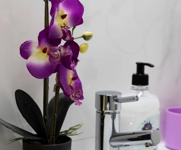 Almada Downtown 202 *