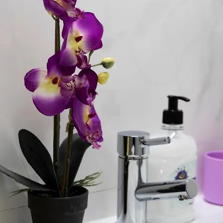 Almada Downtown 202 *